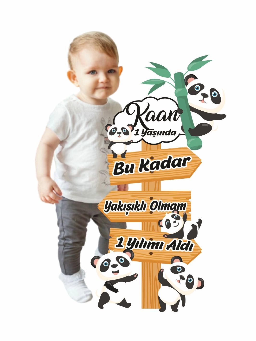 1 Yaş Erkek Bebek Resimli Yön Temalı Panda Konsept Doğum Günü Ayaklı Karşılama Panosu