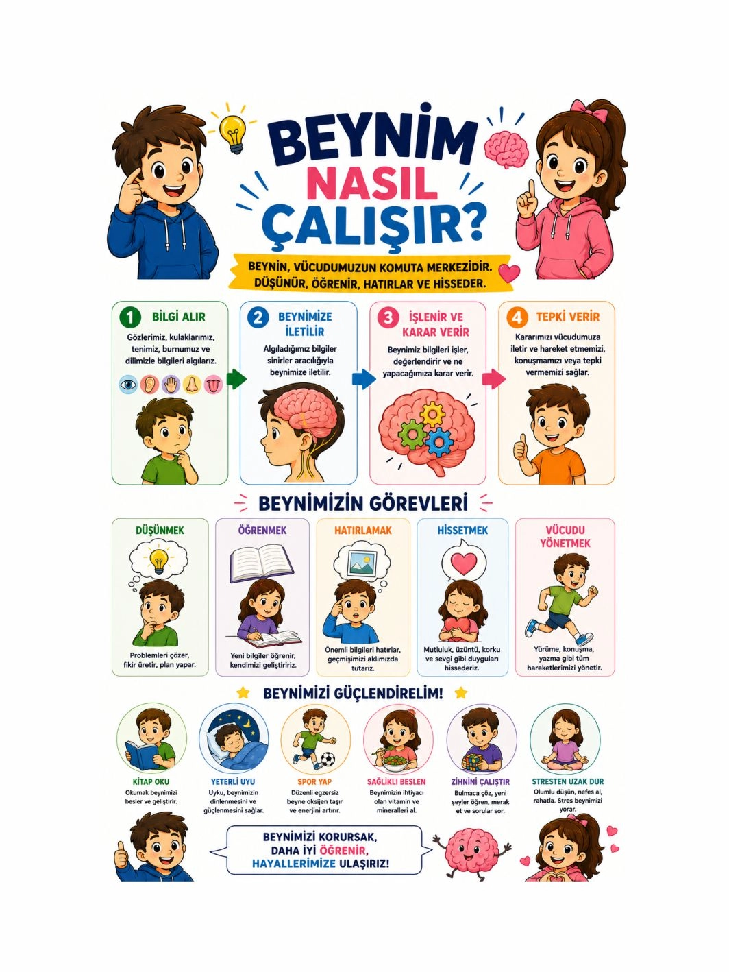 Beynim Nasıl Çalışır? Afişi Sınıf Öğrenci Eğitici Afişi