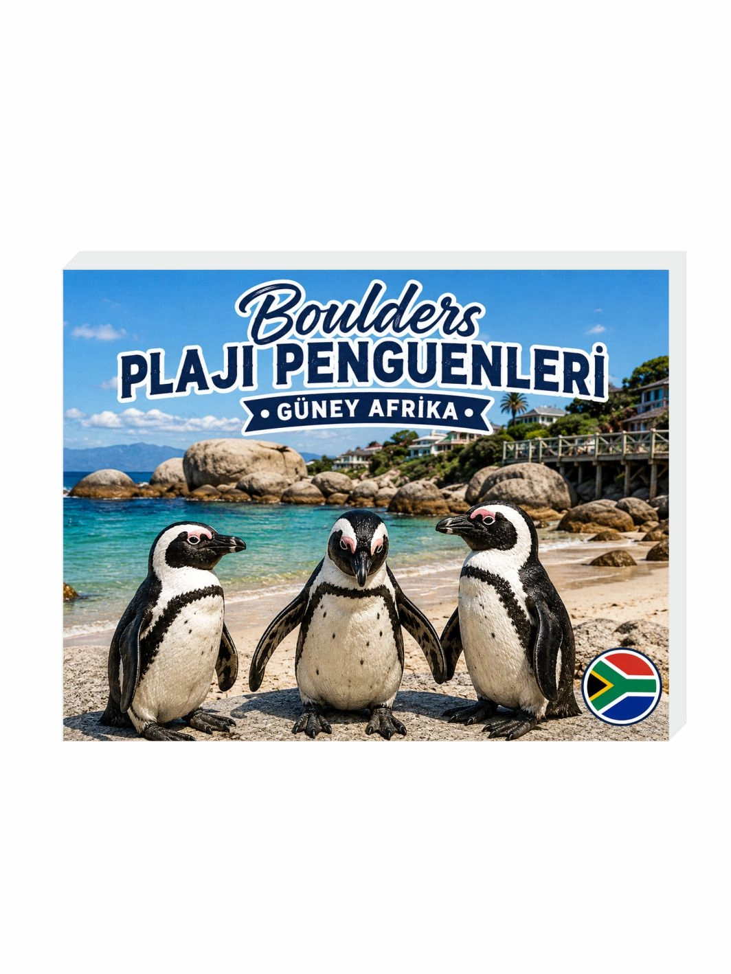 Boulders Plajı Buzdolabı Magnet Süsü | 9x7 cm Güney Afrika Hatıra Magneti
