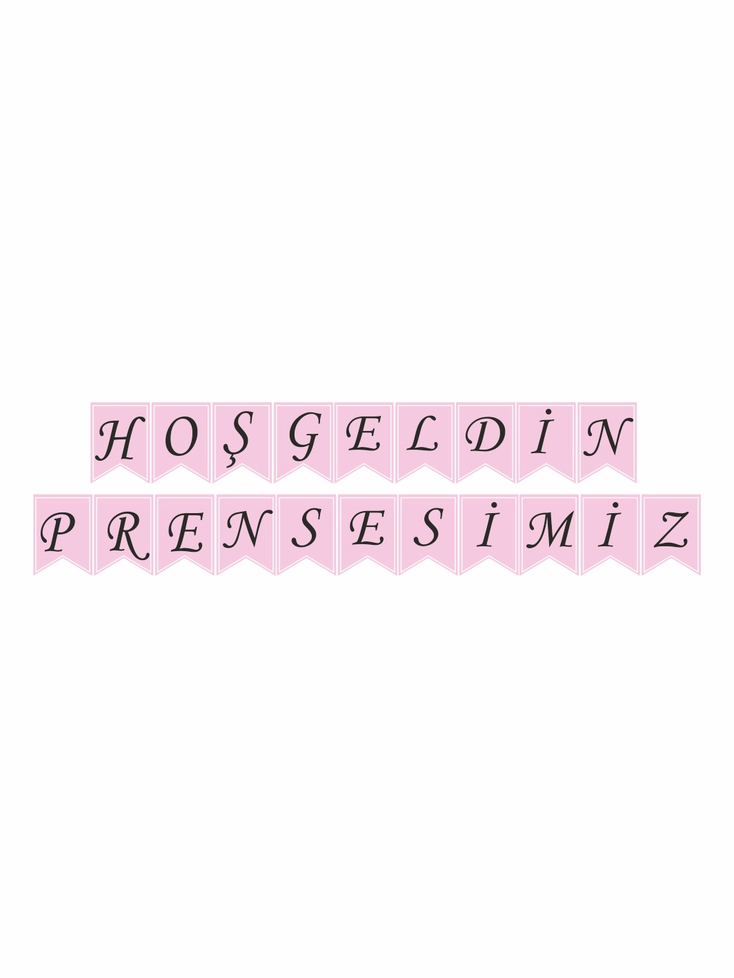 Kız Bebek Hoş Geldin Prensesimiz Flama Banner