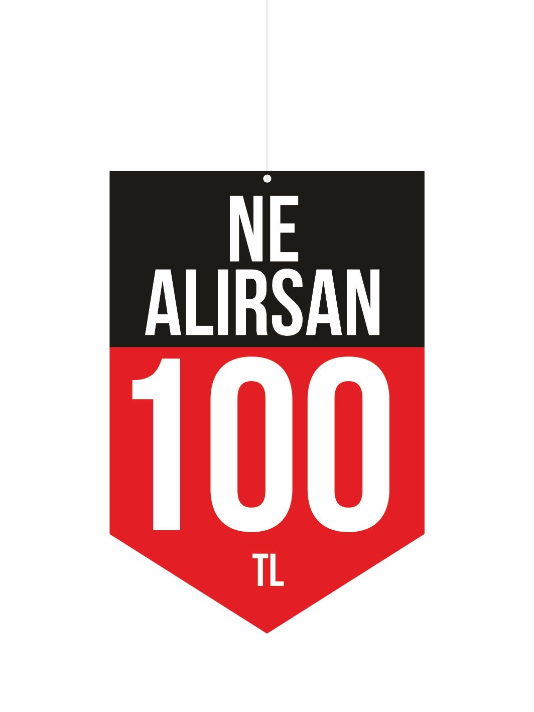 Ne Alırsan 100 TL Mağaza Dönkart Foreks Levha 30x20 cm | 3 mm PVC Foreks Tabela