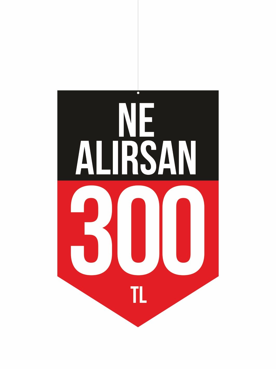 Ne Alırsan 300 TL Mağaza Dönkart Foreks Levha 30x20 cm | 3 mm PVC Foreks Tabela