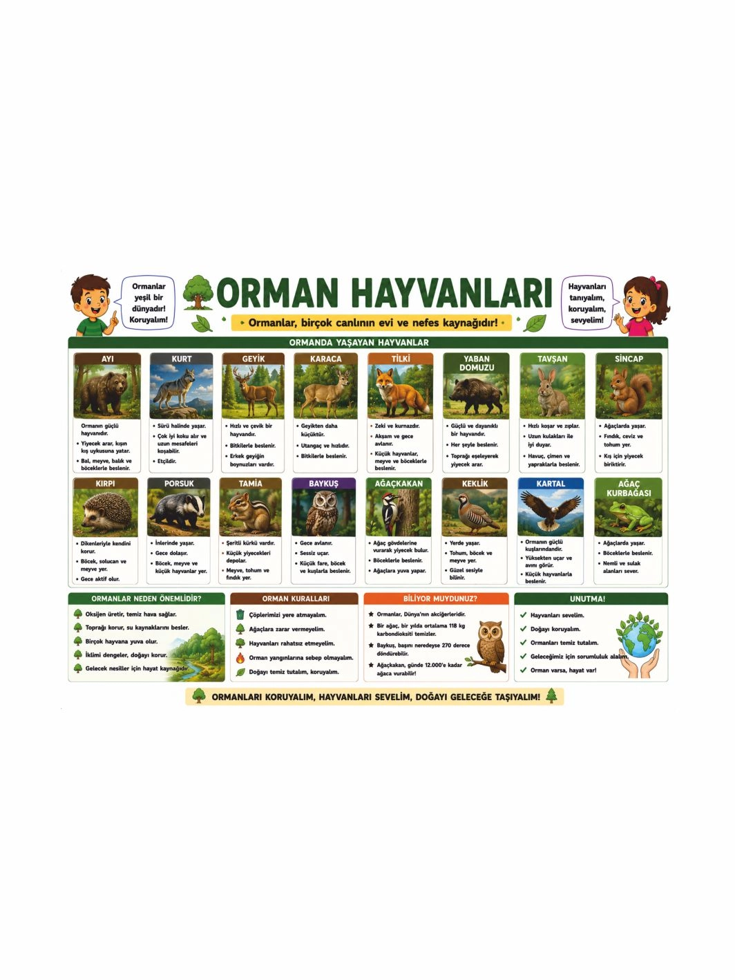 Orman Hayvanları Sınıf Öğrenci Afişi | İlkokul Eğitici Hayvanlar Posteri | Zajabaskı