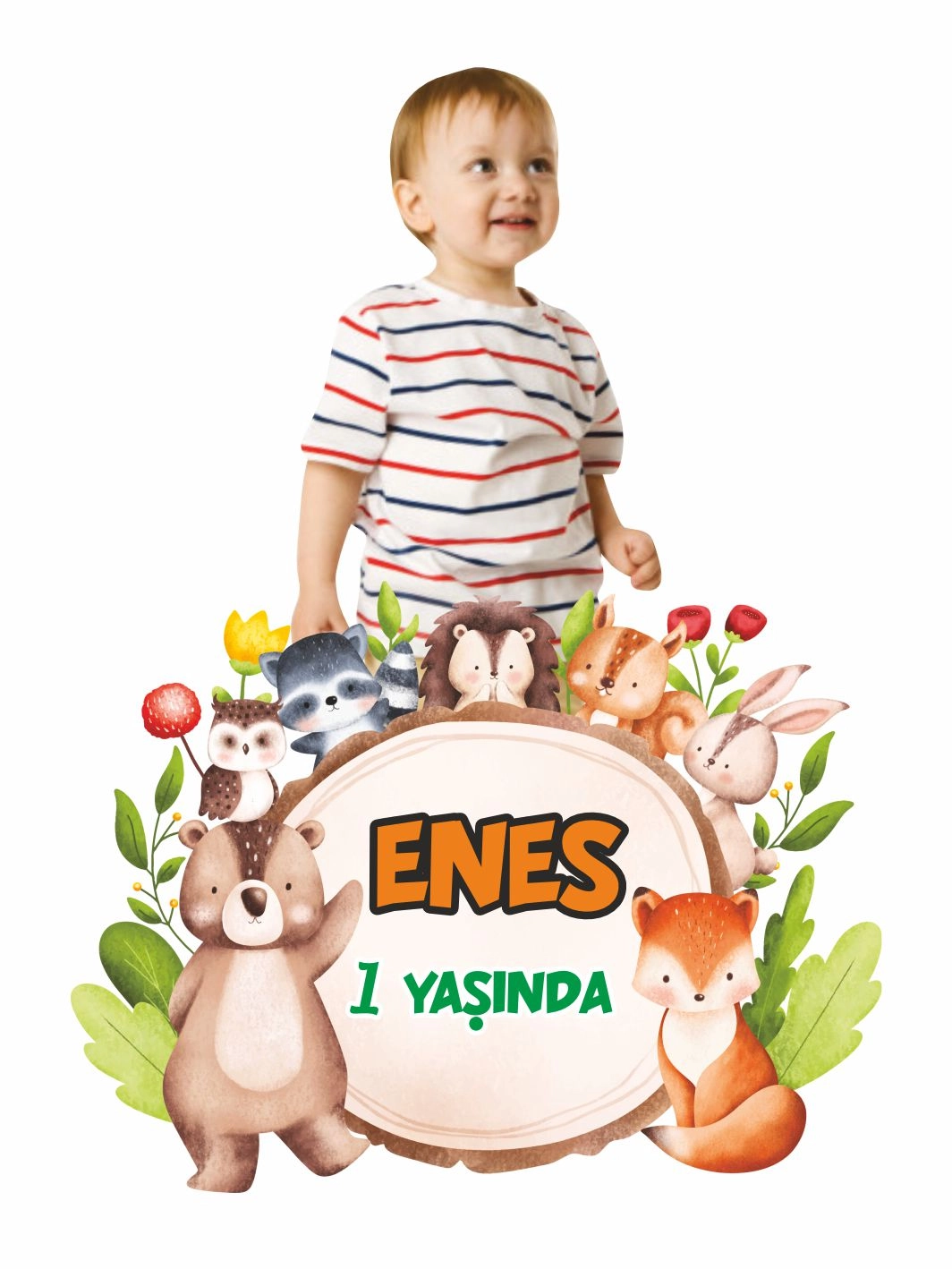Sevimli Hayvanlar Tema Doğum Günü Karşılama Panosu