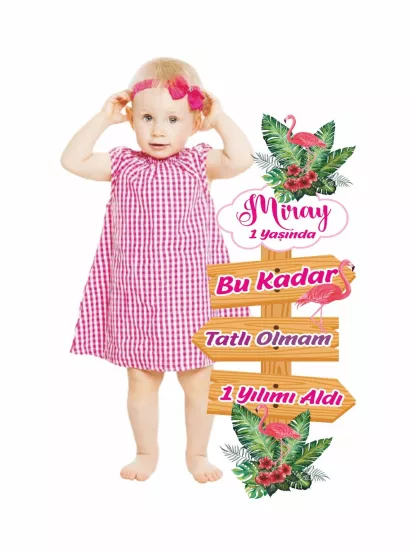 1 Yaş Kız Bebek Doğum Günü Yön Temalı Flamingo Konsept Pano Modelleri ve Fiyatları | Zajabaskı