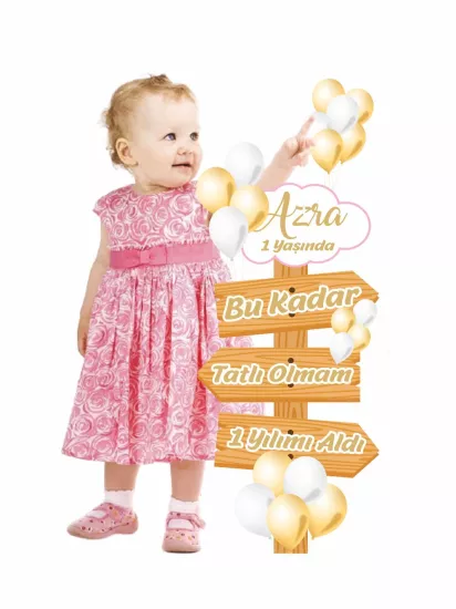 1 Yaş Kız Bebek Resimli Yön Temalı Balon Konsept Doğum Günü Pano Modelleri ve Fiyatları | Zajabaskı