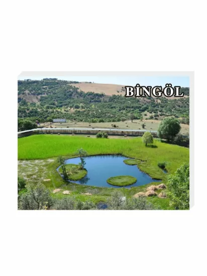 Bingöl Buzdolabı Süsü Magnet | Bingöl Hatıra Magnet | ZajaBaskı