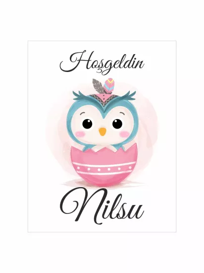 Hoş Geldin Bebek Magneti Baykuş Temalı Yeni Doğan Kız Bebek Magneti Pembe Yumurtalı Bohem Konsept Modelleri ve Fiyatları | Zajabaskı