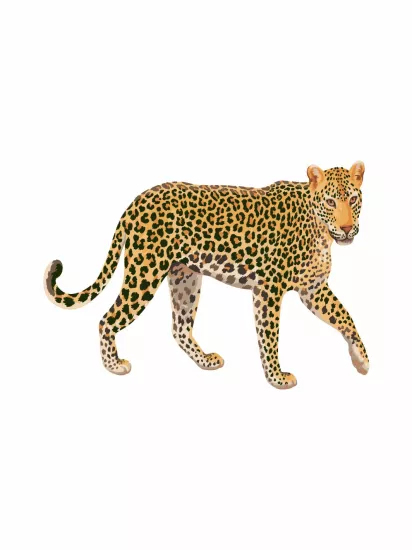Leopar Doğum Günü Maket Pano Modelleri ve Fiyatları | Zajabaskı