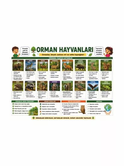 Orman Hayvanları Sınıf Öğrenci Afişi | Eğitici Poster | Zajabaskı