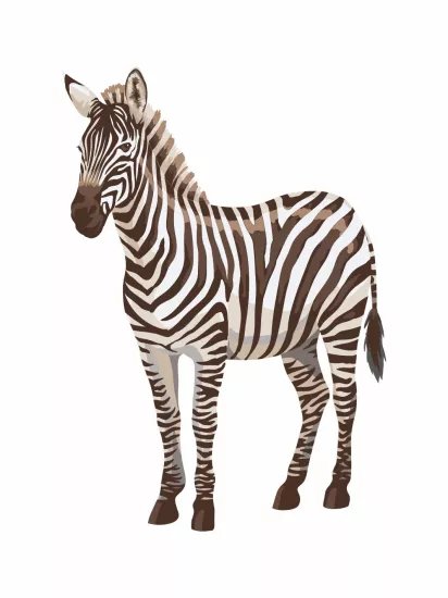 Safari Temalı Vahşi Hayvanlar Zebra Doğum Günü Maket Pano Modelleri ve Fiyatları | Zajabaskı