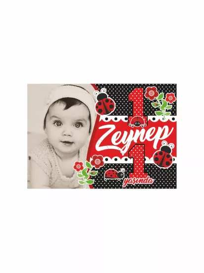 Uğur Böceği Tema 1 Yaş Doğum Günü Partisi Afişi Modelleri ve Fiyatları | Zajabaskı